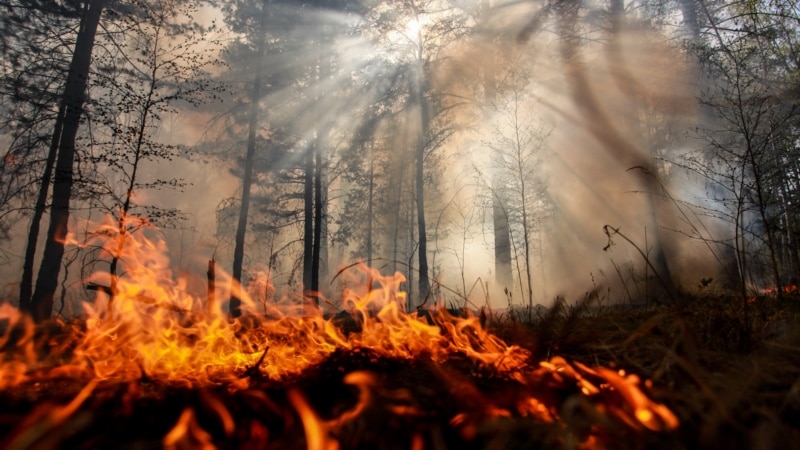 В Крыму за месяц произошло более 700 пожаров – спасатели