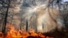 Greenpeace требует остановить "пожарную катастрофу" в Сибири