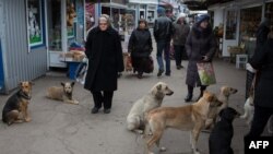 Люди скуповуються на ринку у Донецьку. Листопад 2014 року. Ілюстраційне фото