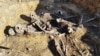 Віднайдені людські останки на території колишньої Дрогобицької тюрми 