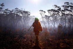 Лесные пожары в Австралии, октябрь 2013 года