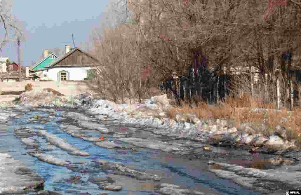 3-7 қаңтар. 2011 жыл #13