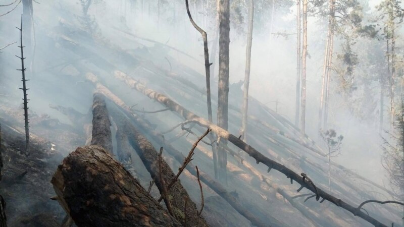 Экологи считают, что иркутские власти ошибочно заявляют о потушенных пожарах