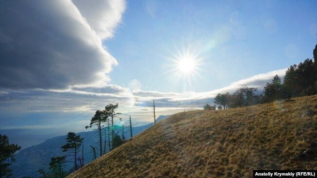 Уч-Кош – сосновый край в Крымских горах (фотогалерея)