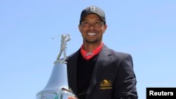 Fotografi e vitit 2013 e golfistit Tiger Woods
