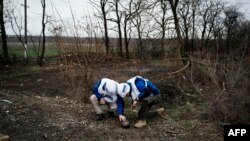 Foto arxiv
