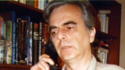 Jurnal de corespondent cu Alexandru Călinescu