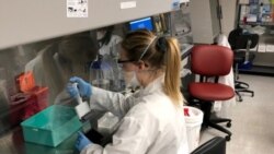 Prizor iz jedne laboratorije u New Yorku, 5. maj