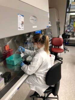 Пфайзер зертханасының қызметкері коронавируспен күрес вакцинасын шығару бойынша зерттеу жүргізіп жатыр. Нью-Йорк, 5 мамыр 2020 жыл.