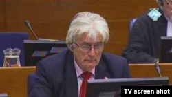 Lider bosanskih Srba Radovan Karadžić tokom suđenja za genocid i ratne zločine, Hag, 05. novembar 2010.