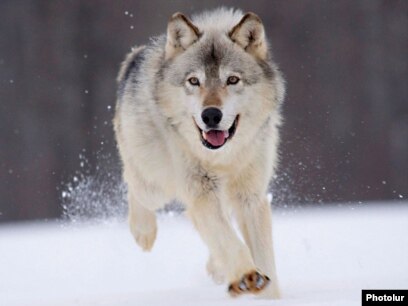 Ерлер мен әйелдер арасындағы жыныстық қатынас Рики Мартин порно