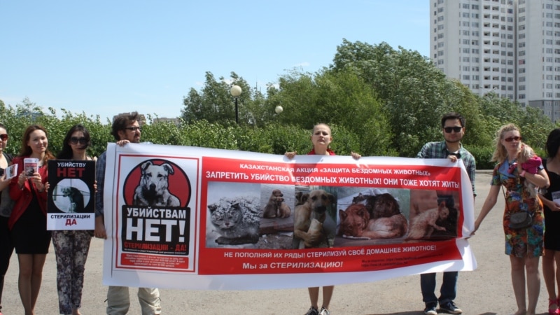 Арқалықта жануар құқығын қорғаушылар митинг өткізе алмады