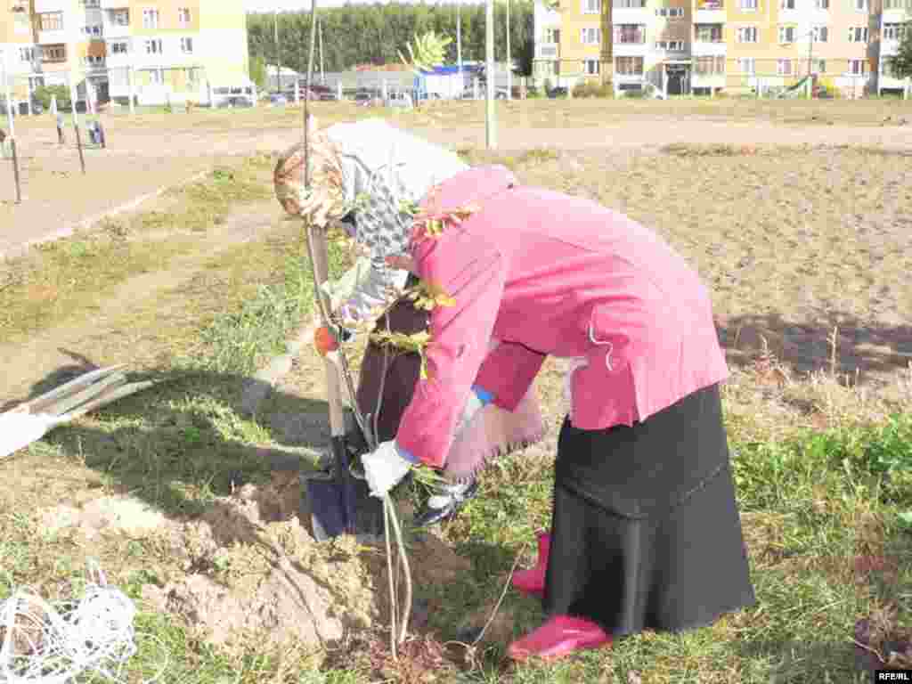 Казанда яшәүче Гөлсинә ханым агач утырту мөселманнарга савап, ди. - Уразаның соңгы көнендә Казанда “Сознание” җәмгыяте башлангычы белән “Рамазан агачын” утырту оештырылды. Әлеге җәмгыятькә төрле уку йортында белем алучы мөселман яшьләре керә. Алар агач утырту акциясе турындагы мәгълүматны интернет аша таратты. Бу чарада барлыгы 210 агач (каен, нарат, миләш, гөлҗимеш) утыртылды. Анда барлыгы 75-ләп кеше катнашты. Ир кешеләр һәм хатын-кызлар аерым төркемнәргә бүленеп эшләде. 