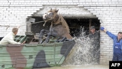 Паводка ў Польшчы нарабіла бяды.