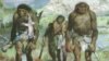 Геном неандертальца прошел первое чтение 