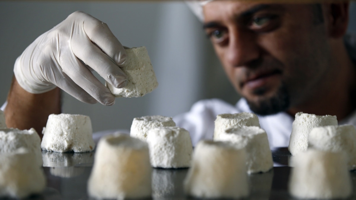 Serbia Produces World s Most Expensive Cheese From Donkeys serbia-produces-world-s-most-expensive-cheese-from-donkeys