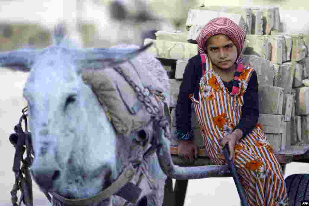 An Iraqi girl rides a cart carrying bricks near the central shrine city of Najaf. (AFP/Haidar Mamdani)