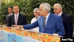 Prezident İlham Əliyev Azərsun şirkətinin Binədəki istixanasında, 2012