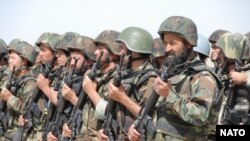 Ауғанстан ұлттық армиясының сарбаздары. Көрнекі сурет.