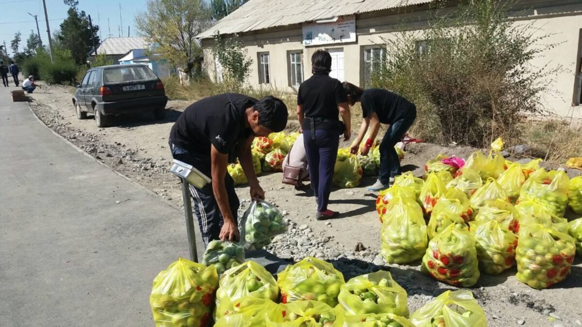 Дагестан продемонстрировал успехи в сельском хозяйстве