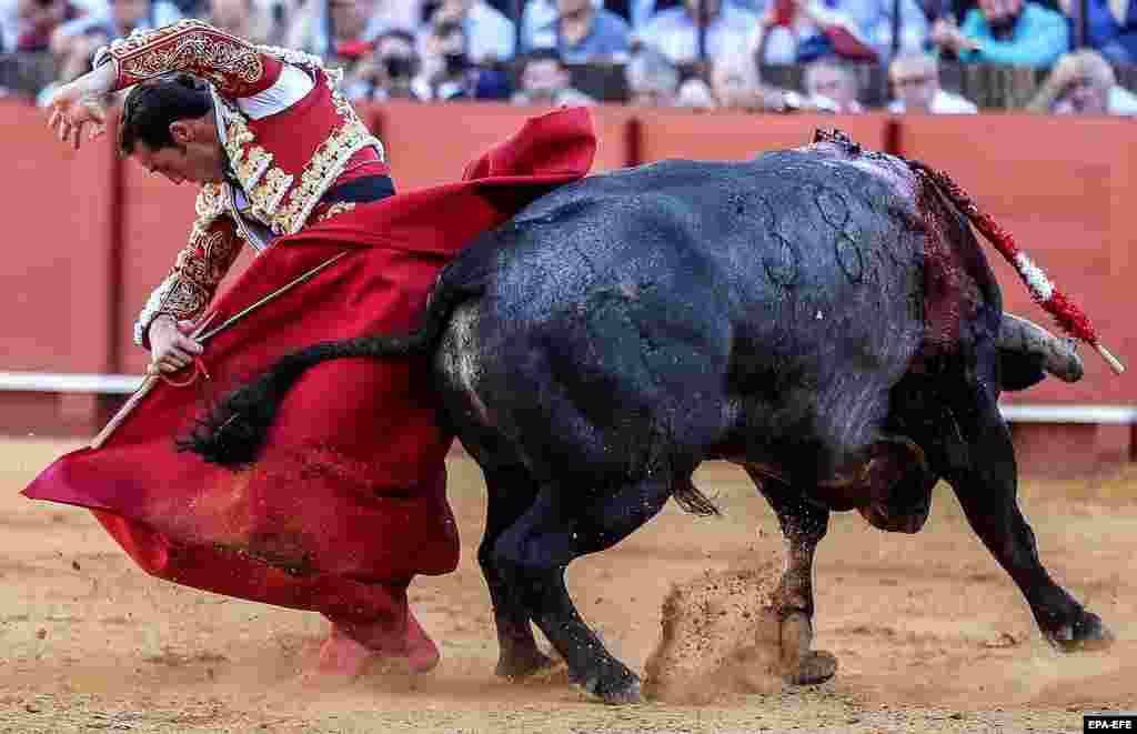 Spanish bullfighter Pepe Moral in action at the Feria de Abril festival in Seville&#39;s Real Maestranza bullring (epa-EFE/Jose Manuel Vidal)