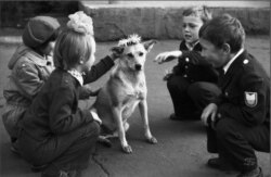 Școlari care se joacă cu un câine