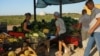«Мало воды и туристов»: крымские фермеры – об угрозах для своих урожаев