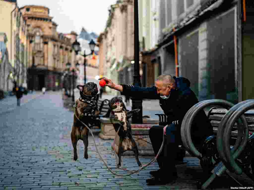 &nbsp;A man plays with his dogs on a street in central Moscow. (AFP/Dimitar Dilkoff)