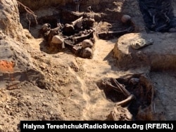 Було знайдено 24 ями з людськими рештками. Дрогобич, жовтень 2019 року