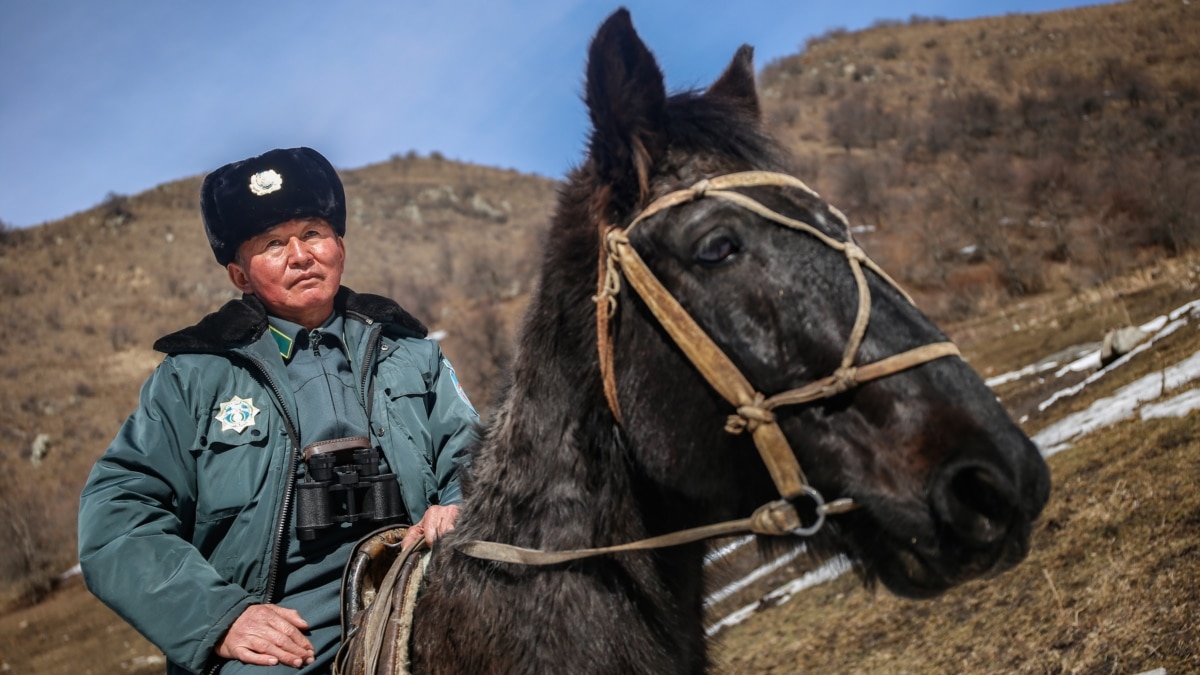 Жизнь в лесу: как лесники охраняют природу в Казахстане