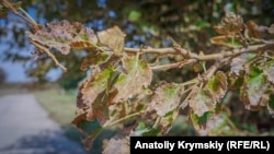 Село Перекоп в Армянске после загрязнения