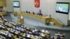 Заседание Государственной думы России (Архивное фото)