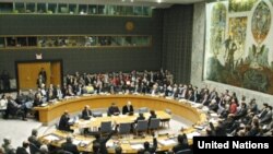 U.S. -- UN Security Council Adopts Ceasefire Agreement Concerning Gaza Location, New York, 08Jan2009