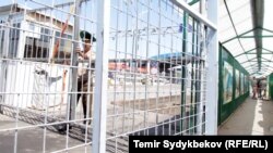 İllüstrasiya