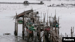 Рыбаки заранее привязали свои лодки на высоких шестах, чтобы уберечь их от волн при урагане. Побережье Манильского залива, 8 ноября 2013 г. 