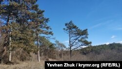 Выше усадьбы находится урочище Кесслерский лес, а внизу течет Салгир