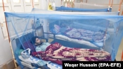 روغتیاپالان وايي، ډېنګي ناروغي د ماشو د چيچلو له وجې کېږي. پخوانی انځور