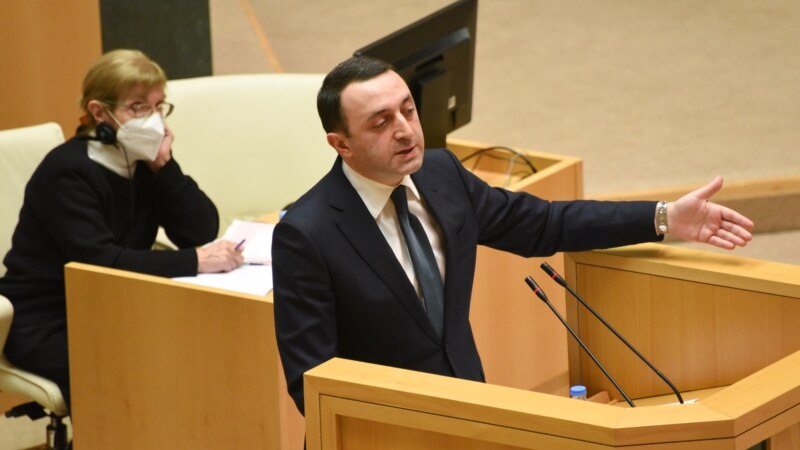 «Грузинская мечта» отвергает переговоры о досрочных выборах – Гарибашвили