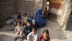 FIEL: Internally Displaced Afghans in the eastren province of Nangarhar.