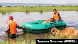 Забайкальцы во время наводнения
