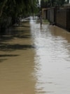 تصویر از جاری شدن سیلاب ها 