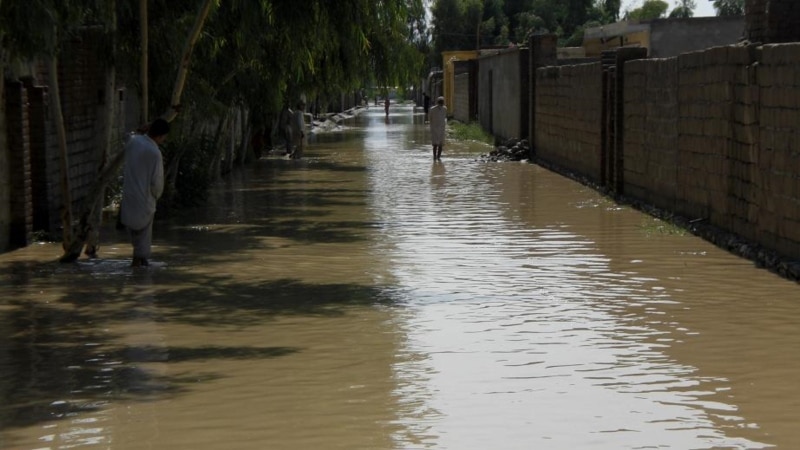 «حاصلات زراعتی از بین رفت»؛ دهقانان در هرات از ویرانی سیلاب حکایت می کنند 