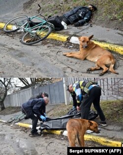 Un câine așteaptă lângă trupul unui bărbat, posibil stăpânul său, în localitatea Bucea, aflată în apropierea capitalei Ucrainei, Kiev. Colajul de fotografii a fost realizat pe data de 3 aprilie 2022.