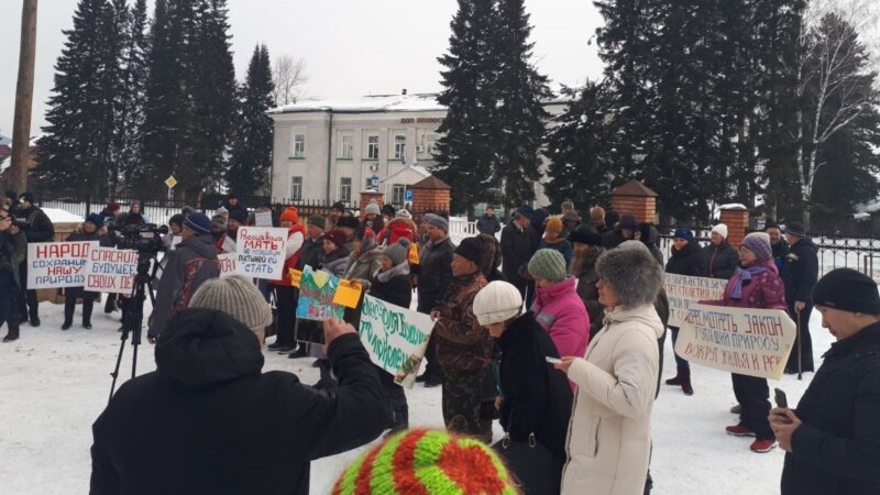 Жители российского Алтая вышли на митинг против уничтожения леса