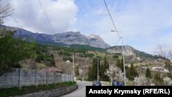 Иллюстрационное фото: Крым, Алупка 