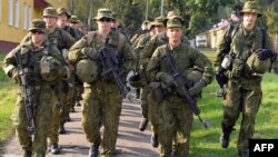 As relations with Russia become increasingly strained, Lithuania has been slowly strengthening its military apparatus. (file photo)