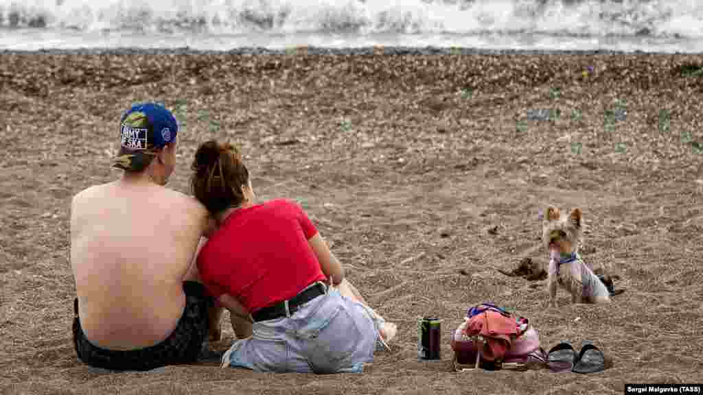 Молодая пара и их, судя по виду, только что искупавшийся в море маленький пес на пляже в Судаке