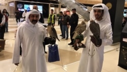 İrandakı müharibə Azərbaycanda turizmi də vurdu