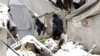Bosnia Puts Off Closing Makeshift Migrant Camp 'Until Further Notice'