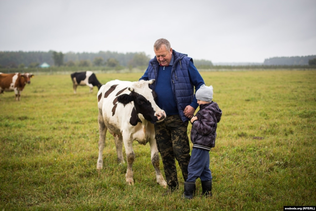 Kali karovu abdymać, jana daść bolej małaka